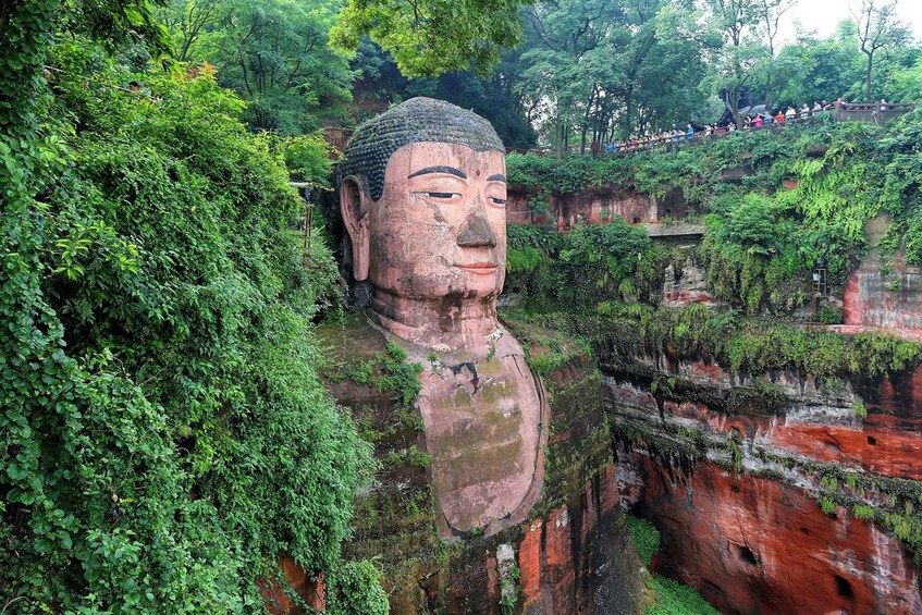 A large Buddha statue partially covered by dense green foliage. 4