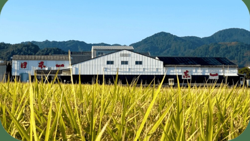 A rural landscape with a field of tall crops in the foreground and a white building with red signage in the background, set against a backdrop of hills. 1