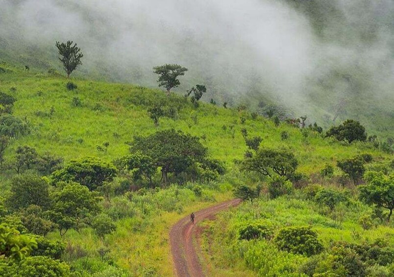 Picture 5 for Activity From Addis Ababa: 4-Day Alatish National Park Safari 4