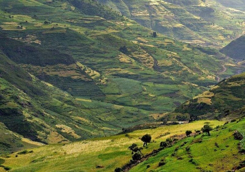 Picture 10 for Activity From Addis Ababa: 4-Day Alatish National Park Safari 2