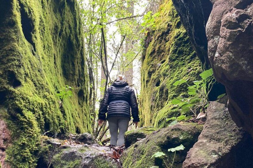 A person walking through a forested area with moss-covered rocks and trees. 4