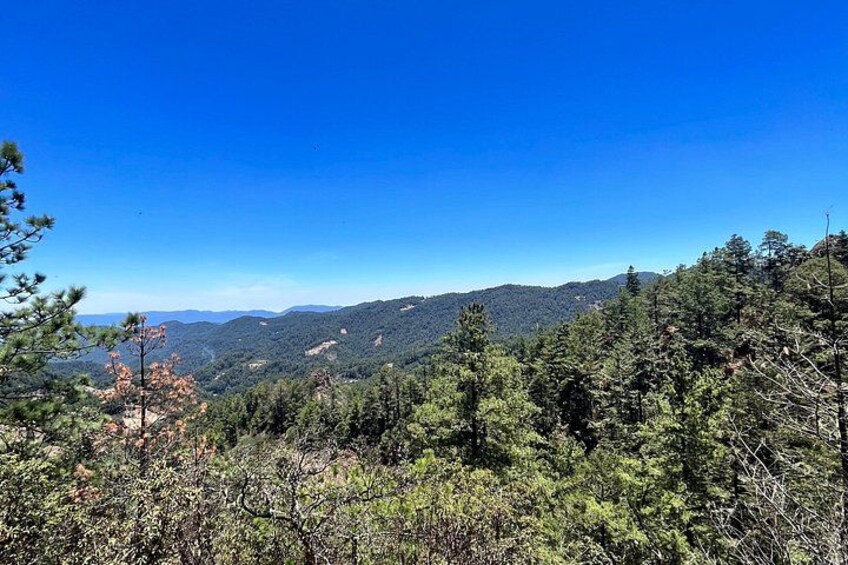 Eine gebirgige Landschaft mit dichten Wäldern und wolkenlosem, blauem Himmel. 4