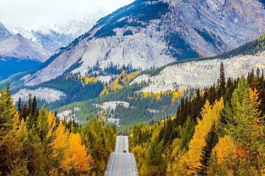 Una carretera atraviesa una zona montañosa con árboles de colores otoñales y cumbres nevadas al fondo. 5