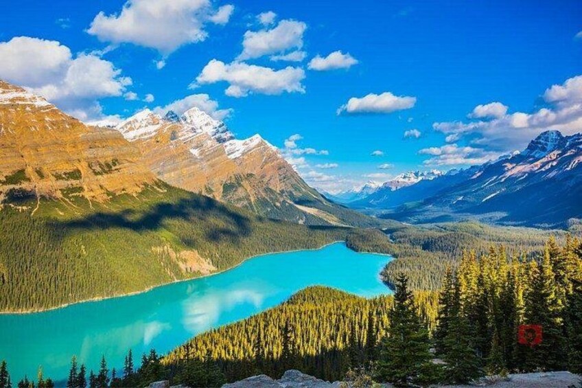 Self-Guided Audio Driving Tour in Icefields Parkway 2