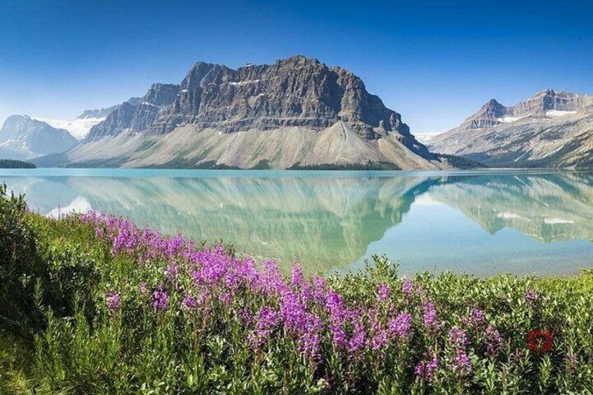Self-Guided Audio Driving Tour in Icefields Parkway 2