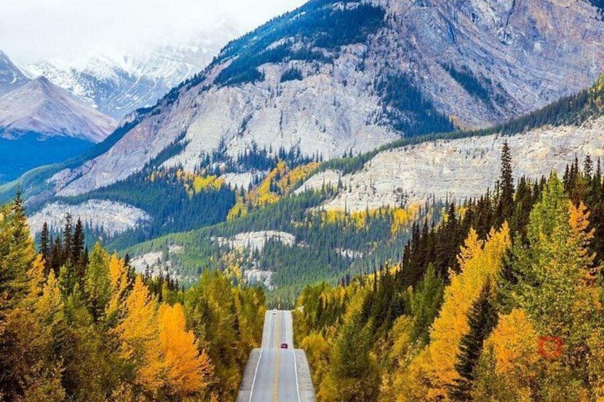 Self-Guided Audio Driving Tour in Icefields Parkway 2