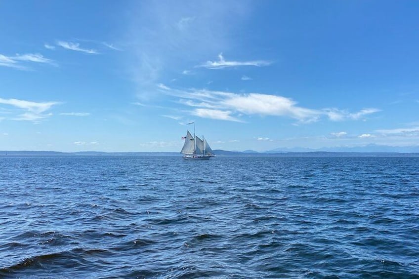 The tour's route is powered by the wind and therefore will be adjusted to wherever the wind blows us, but no matter the direction we sail, the views are nothing short of breathtaking! 2