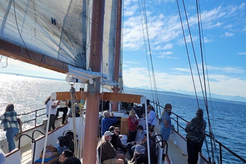 Bay Lady is the largest public sailing vessel in Seattle. With her high railing and comfortable seating, she is the premier boat ride for families. 4