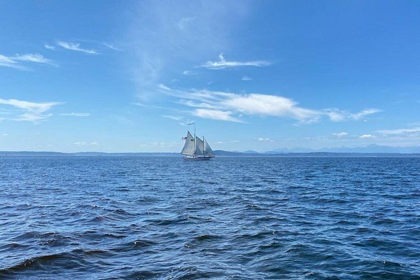 The tour's route is powered by the wind and therefore will be adjusted to wherever the wind blows us, but no matter the direction we sail, the views are nothing short of breathtaking! 2