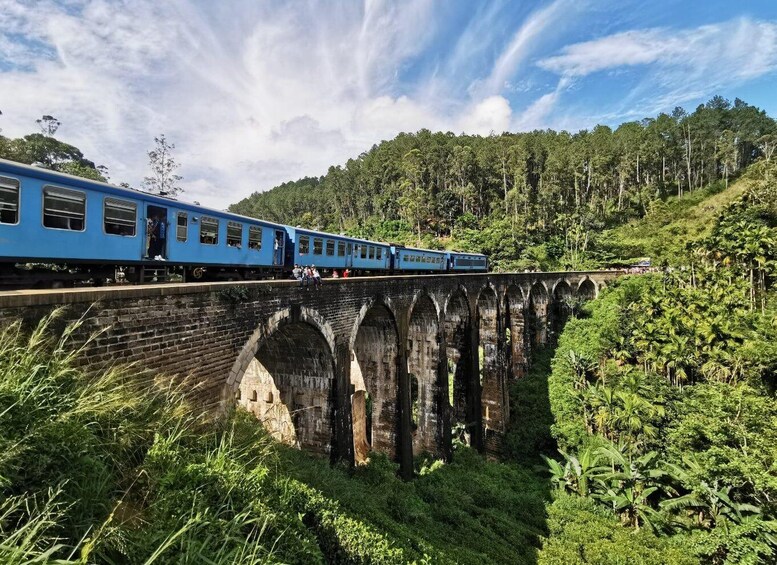 A blue train on an old stone bridge with greenery around. 3