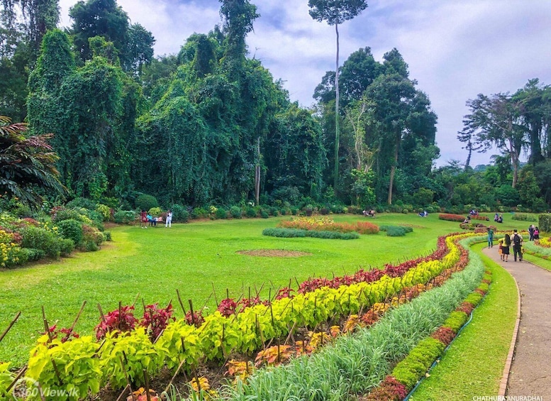A lush garden with neatly arranged flower beds and a variety of trees. 4