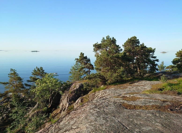 A rocky shoreline with dense pine trees and calm water. 1