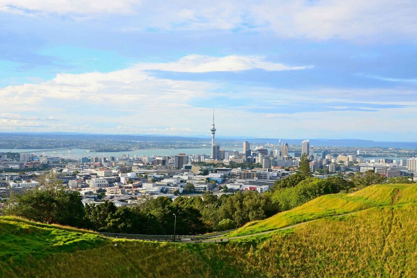 A cityscape with a prominent tower, dense urban buildings, and a river in the background. 1