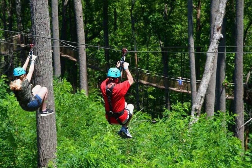 Two people zip-lining through a forest with trees and greenery. 3