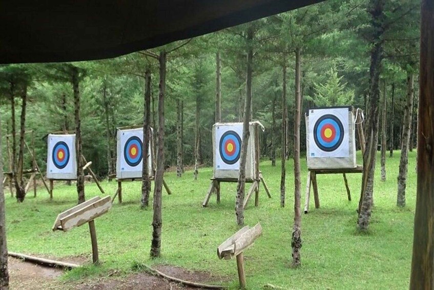 A series of archery targets in a forested area. 2