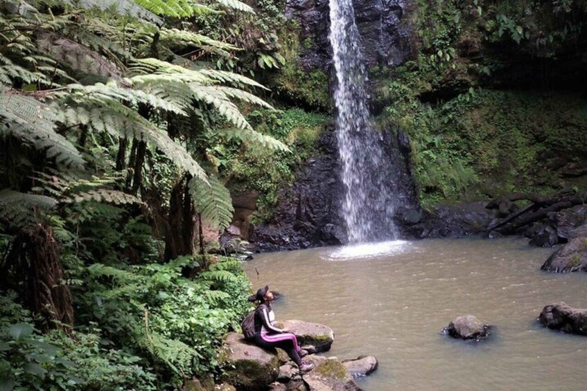 A waterfall in a forested area with a person sitting on a rock by the water. 4