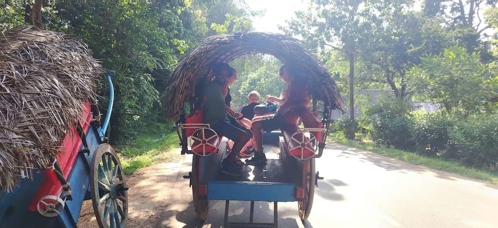 A traditional rickshaw with passengers, a thatched roof, and a blue cart with a red cover. 4