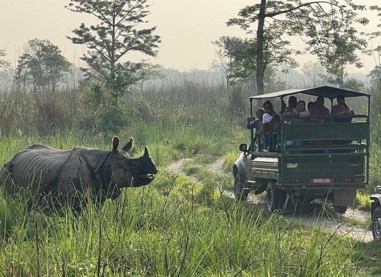 A green safari vehicle with passengers observing a rhinoceros in a grassy area. 4
