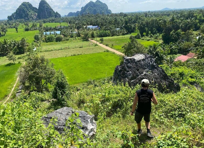 Eine Person steht auf einem grasbewachsen Hügel und blickt auf eine Landschaft mit grünen Feldern, Palmen und Felsformationen. 2