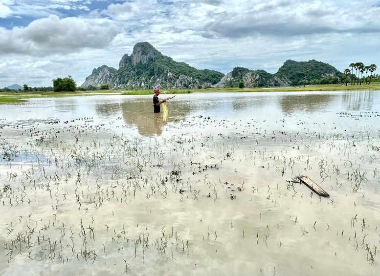 Picture 30 for Activity Kampong Trach Caves,Swimming Water Cave & Phnom Damrei Hills 5