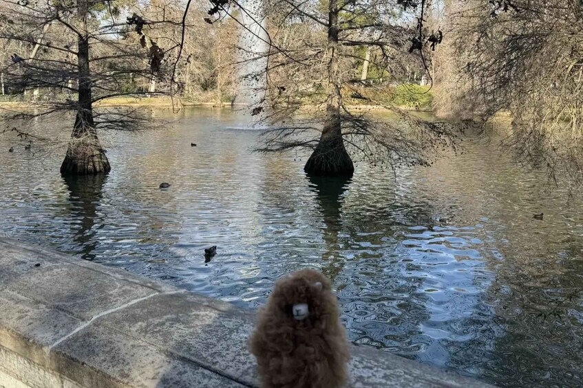 A dog standing by a pond with trees in the background. 3
