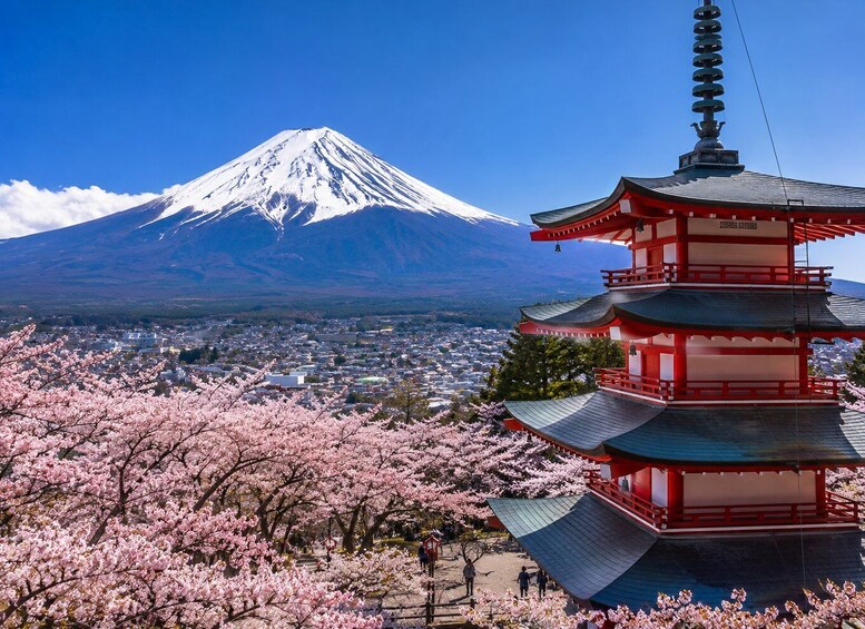 Chiba: Mount Fuji & boating in lake Kawaguchiko Private Tour 5