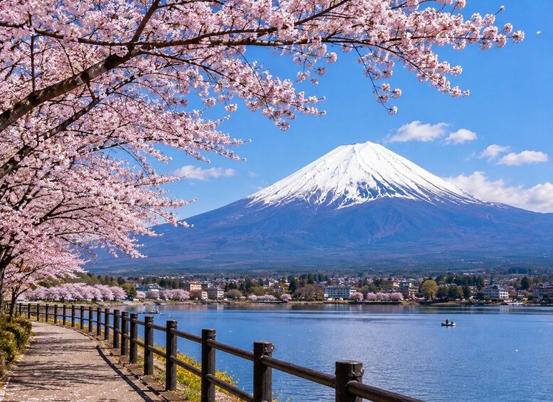 Picture 3 for Activity Chiba: Mount Fuji & boating in lake Kawaguchiko Private Tour 1