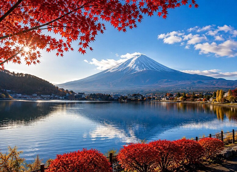 Picture 2 for Activity Chiba: Mount Fuji & boating in lake Kawaguchiko Private Tour 4
