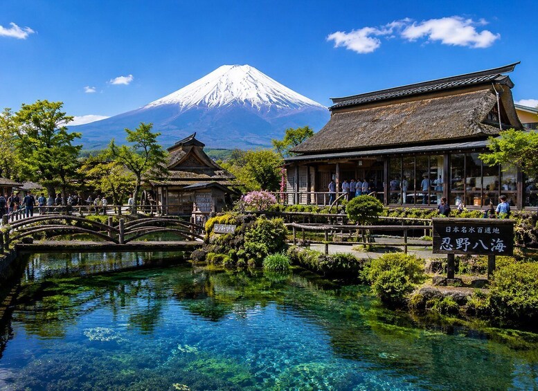 Picture 4 for Activity Chiba: Mount Fuji & boating in lake Kawaguchiko Private Tour 3