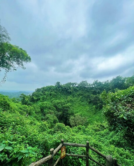 A dense forest with a wooden fence in the foreground. 2