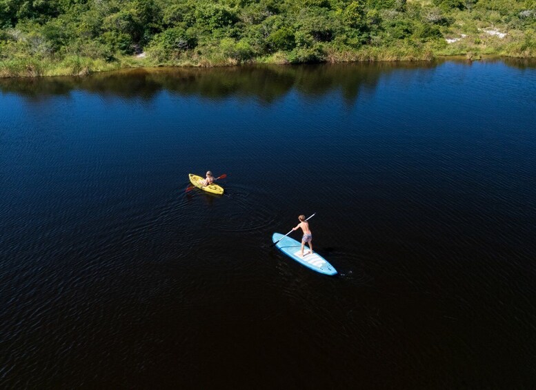 Two people kayaking on a calm river surrounded by lush greenery. 2