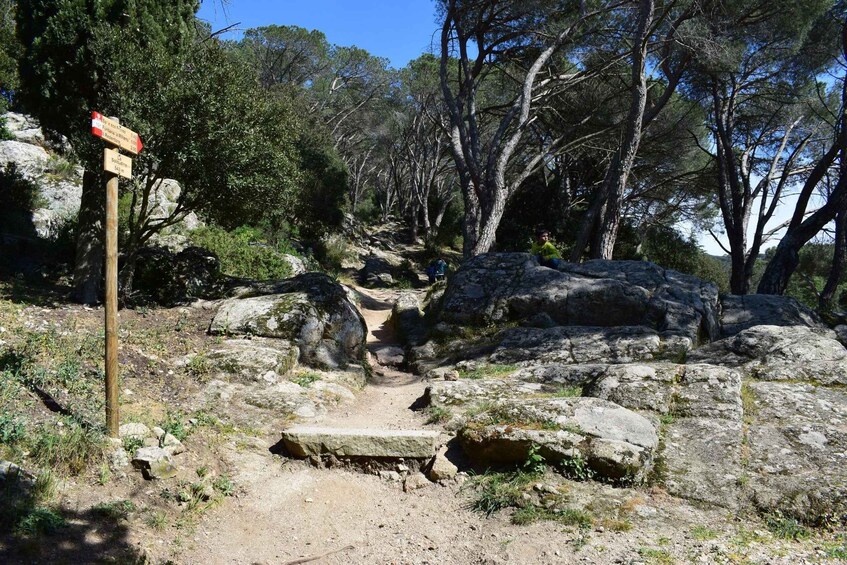 A hiking trail with a wooden signpost, rocky terrain, and dense trees. 5