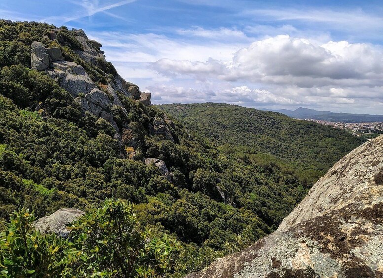 A mountainous landscape with dense green forests and rocky outcrops. 1