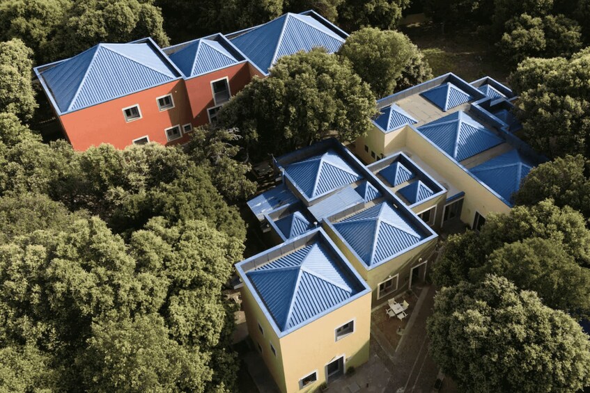 A cluster of buildings with blue roofs surrounded by dense green trees. 2