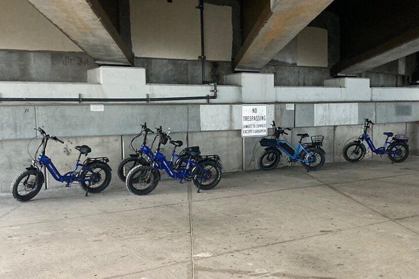 Electric Bike Sunset Tour - Treasure Island & John's Pass 3
