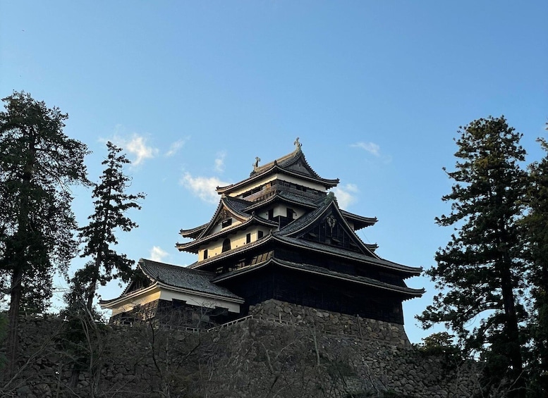 A traditional Japanese castle with multiple tiers and a stone base, surrounded by trees. 5