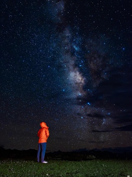 A person in an orange jacket observing the night sky filled with stars and the Milky Way. 4