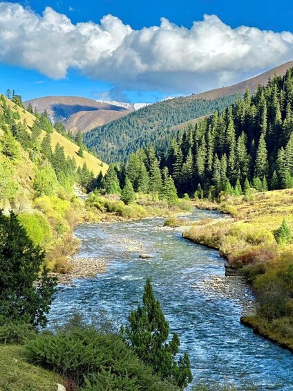 A river flowing through a valley with dense forests and mountains in the background. 1