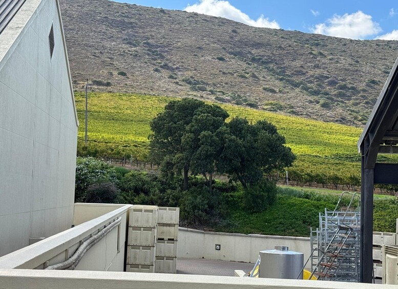 Eine Dachterrasse mit Blick auf einen Weinberg und einen Berg. 4