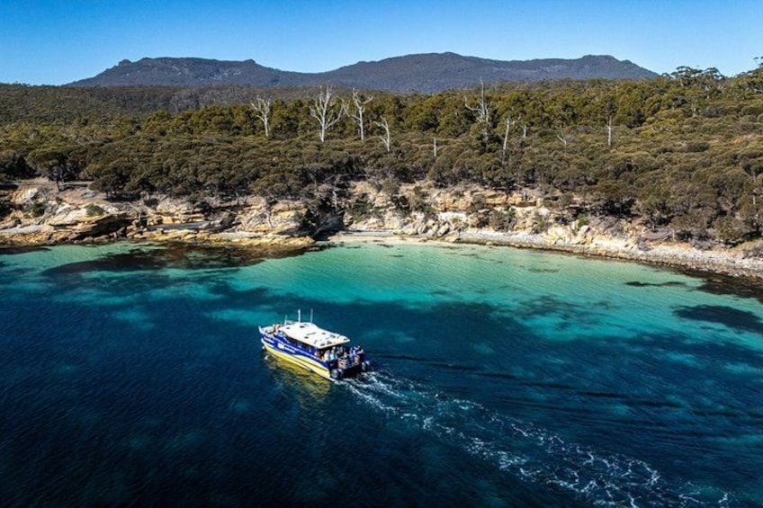 A boat on a clear blue sea with a rocky coastline and trees in the background. 5