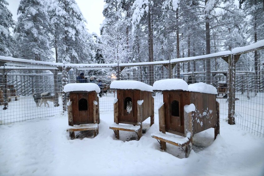 Three wooden animal houses covered in snow, surrounded by a wire fence, set in a snowy forest. 5