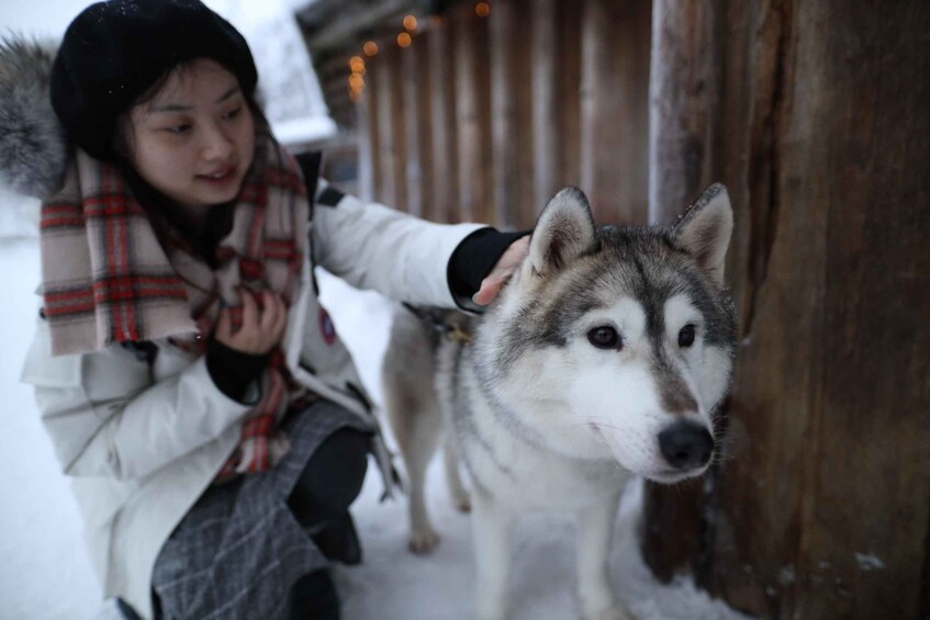 A person petting a husky dog in a snowy outdoor setting. 1