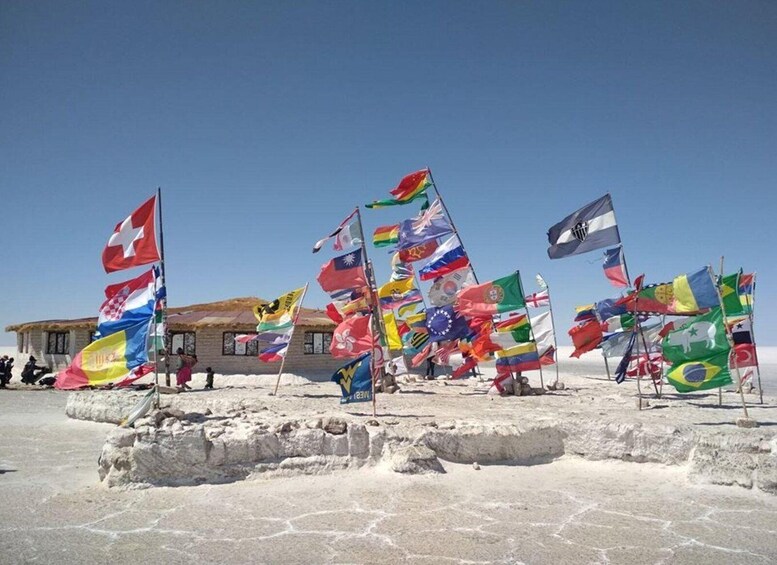 Una colección de banderas internacionales ondeando en postes, en un paisaje nevado con un edificio al fondo. 5