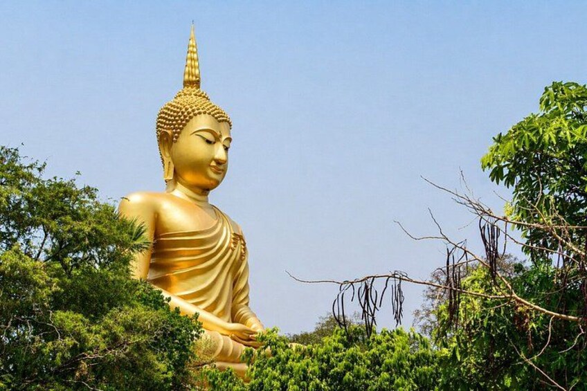 A large golden Buddha statue surrounded by lush greenery. 3