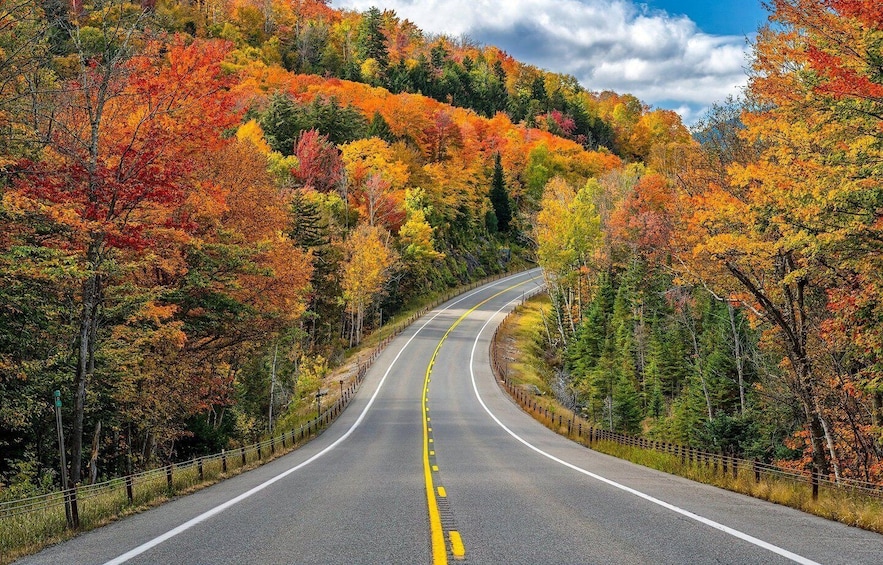 Picture 2 for Activity Cabot Trail Scenic Tour — Sydney, Cape Breton Island 4