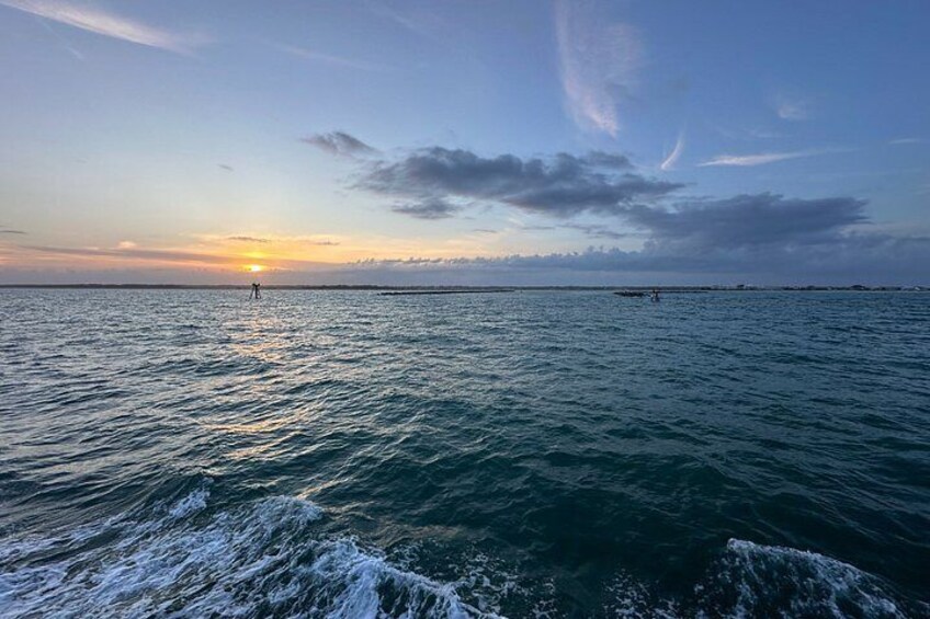 Ocean Sunset Dolphin & Sealife Cruise in Murrells Inlet 3