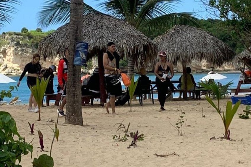 Une plage bordée de palmiers, où l’on voit des gens se promener, et une construction dont le toit est fait de chaume. 4
