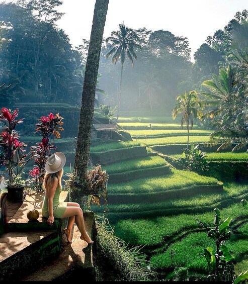A woman sitting on a stone ledge overlooking terraced rice fields with palm trees and tropical vegetation. 3