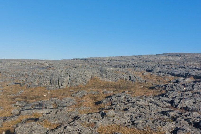 A rocky terrain with sparse vegetation and a clear blue sky. 4