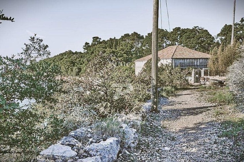 A rural landscape with a house, rocky terrain, and dense vegetation. 2